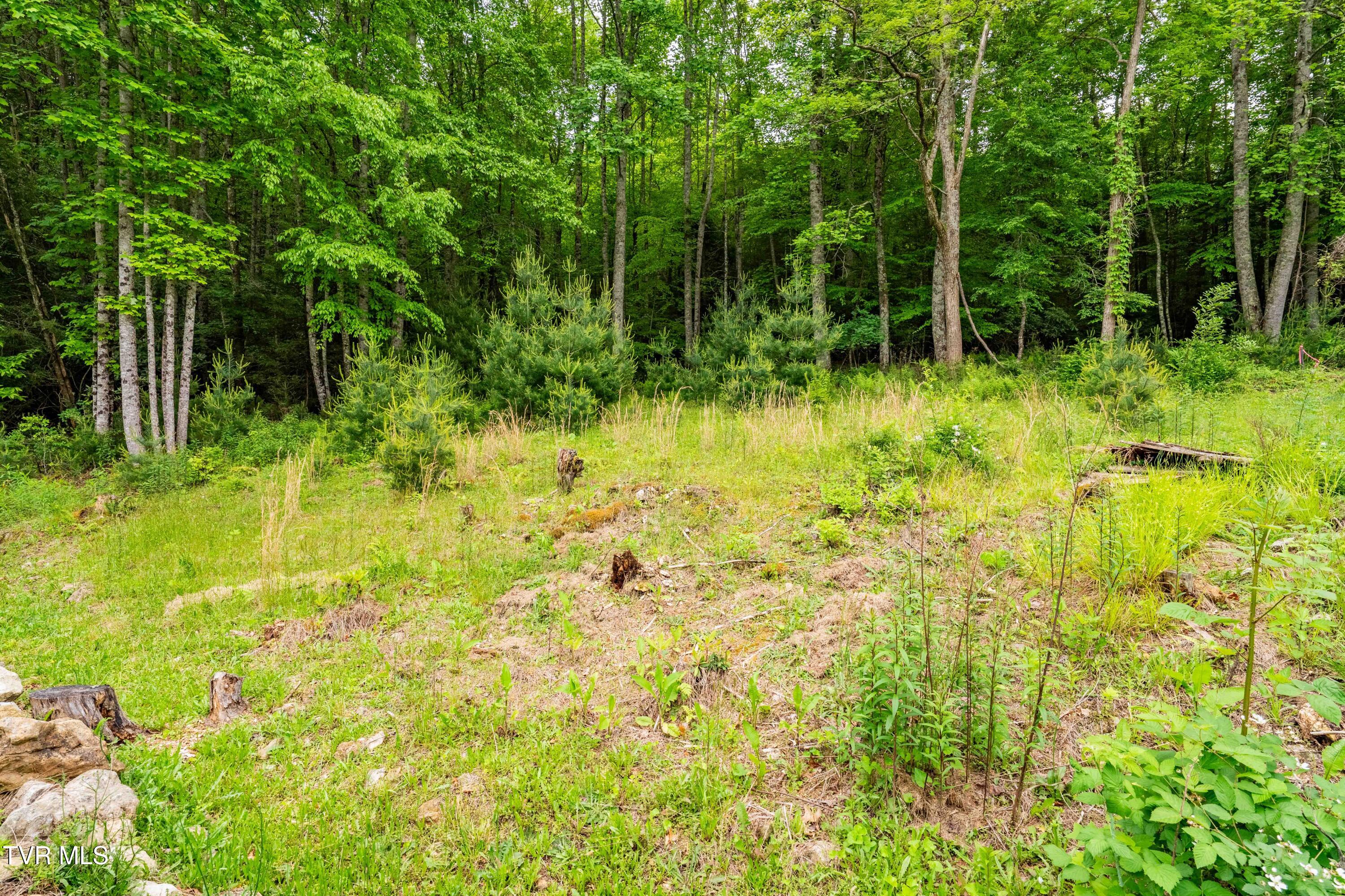 674 Shoun Street, Mountain City, Tennessee image 31
