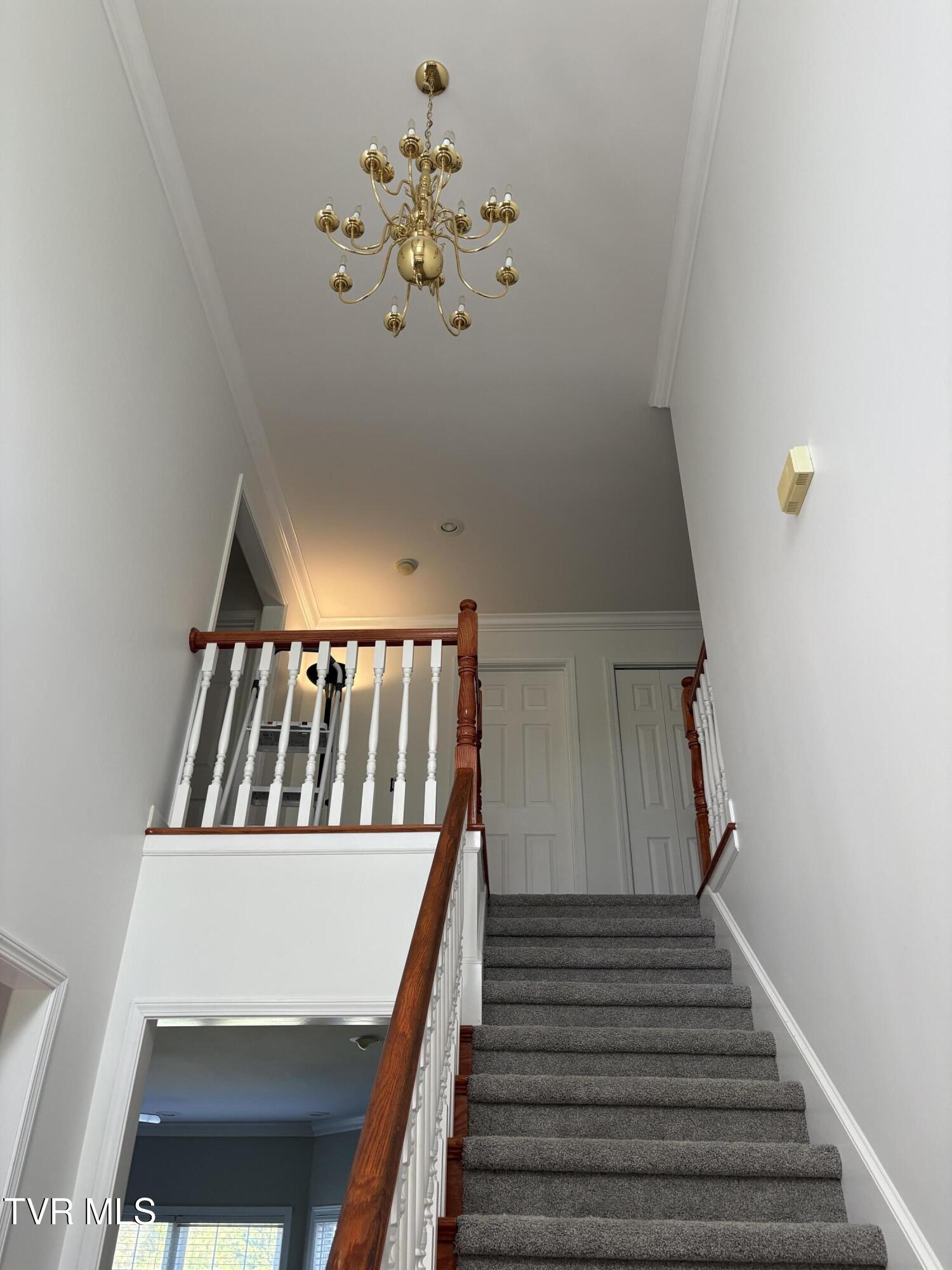 142 Oakwell Lane, Jonesborough, Tennessee image 39