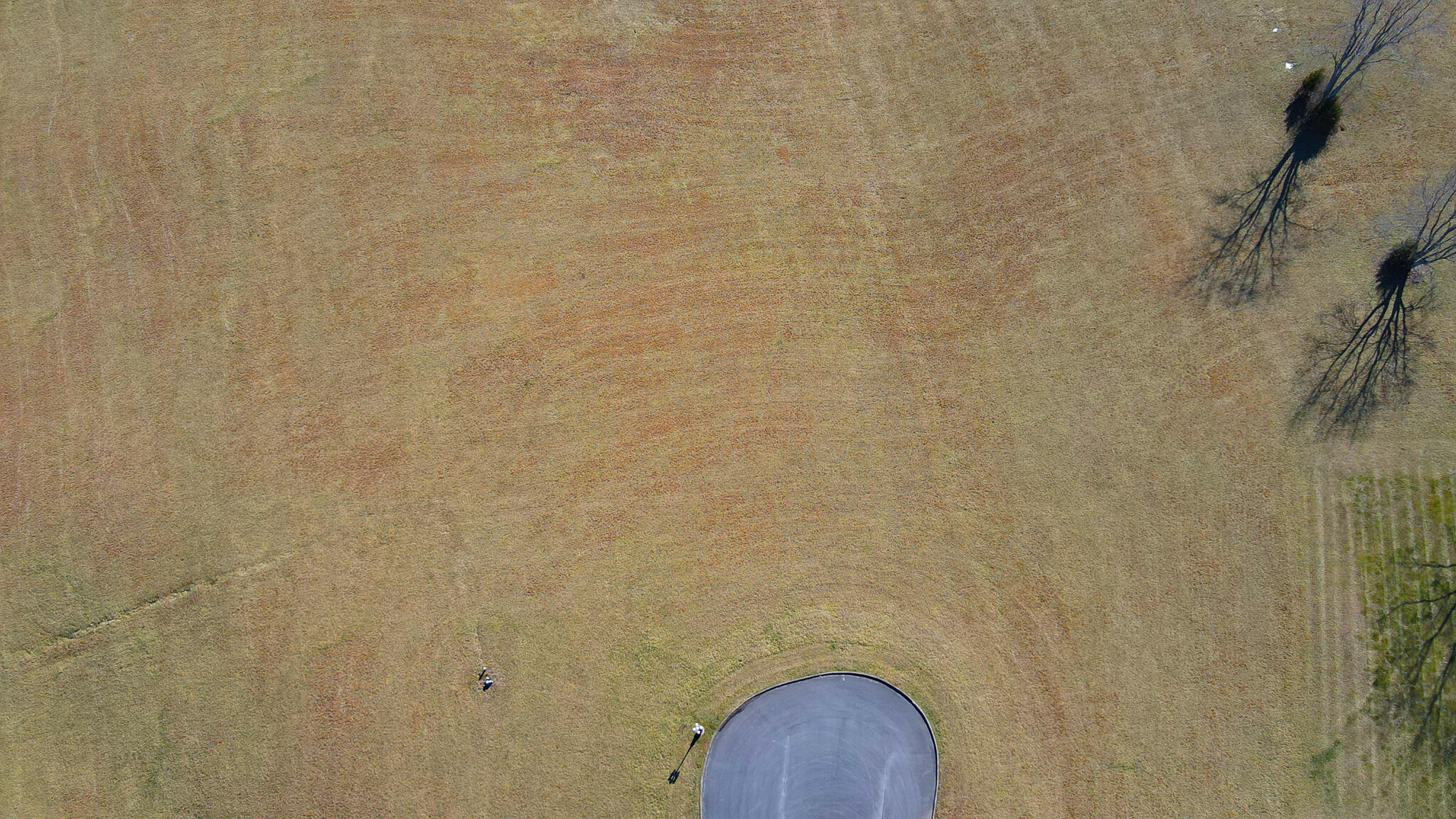 Lot 58 Walnut Place, Church Hill, Tennessee image 3