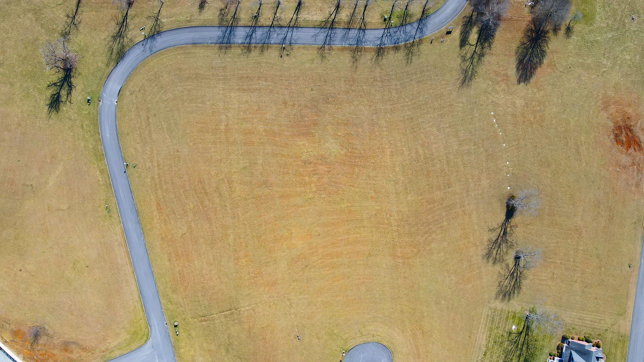Lot 58 Walnut Place, Church Hill, Tennessee image 2