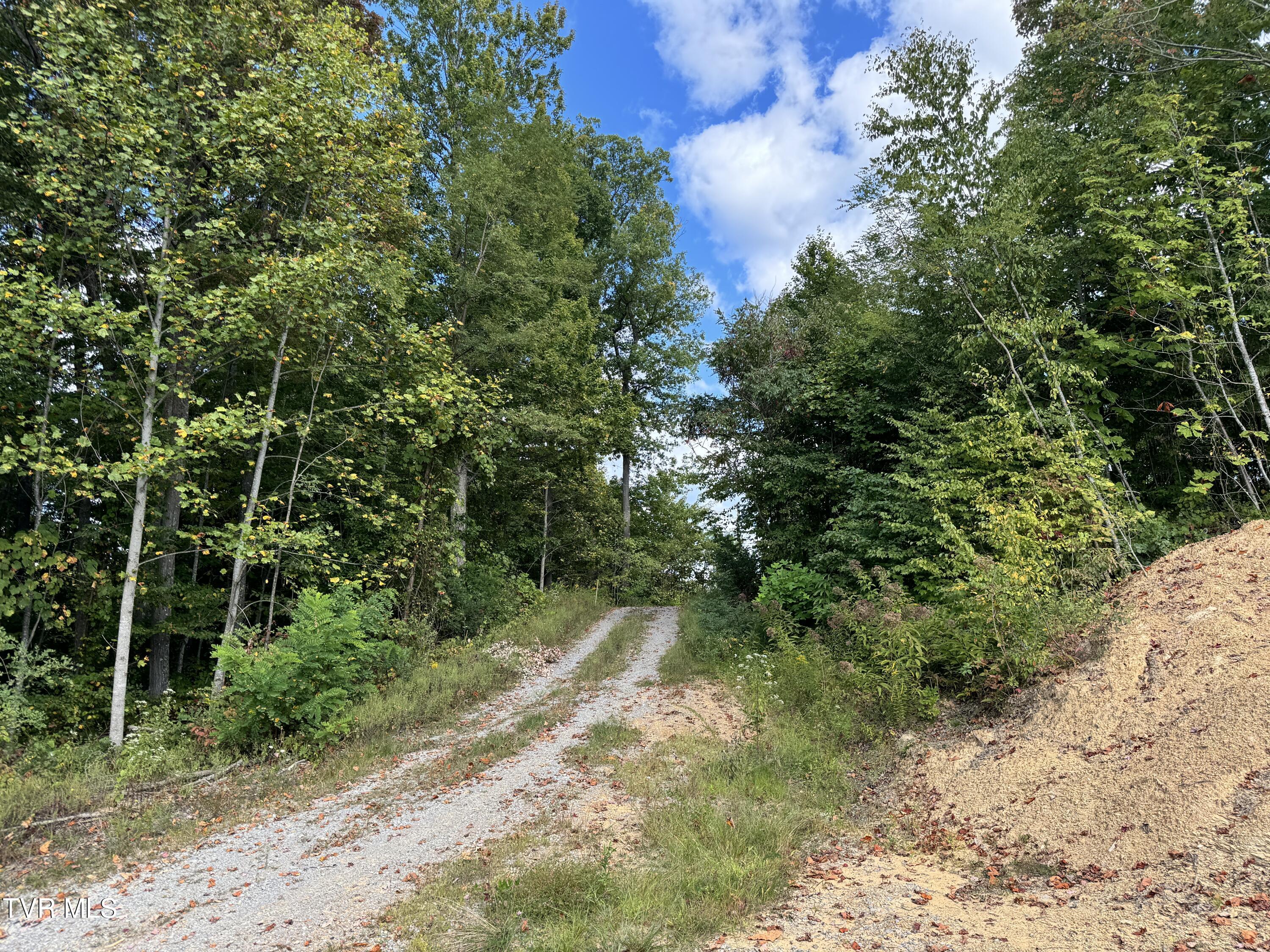 Lot 2809 Aily Rd, Clinchco, Virginia image 6