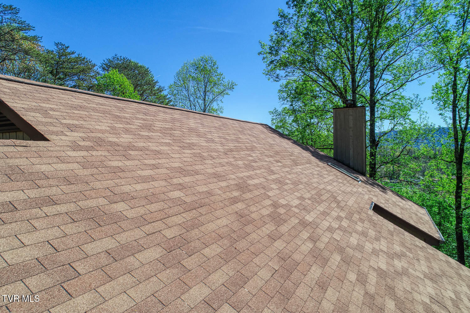 804 Seven Oaks Drive, Mount Carmel, Tennessee image 7