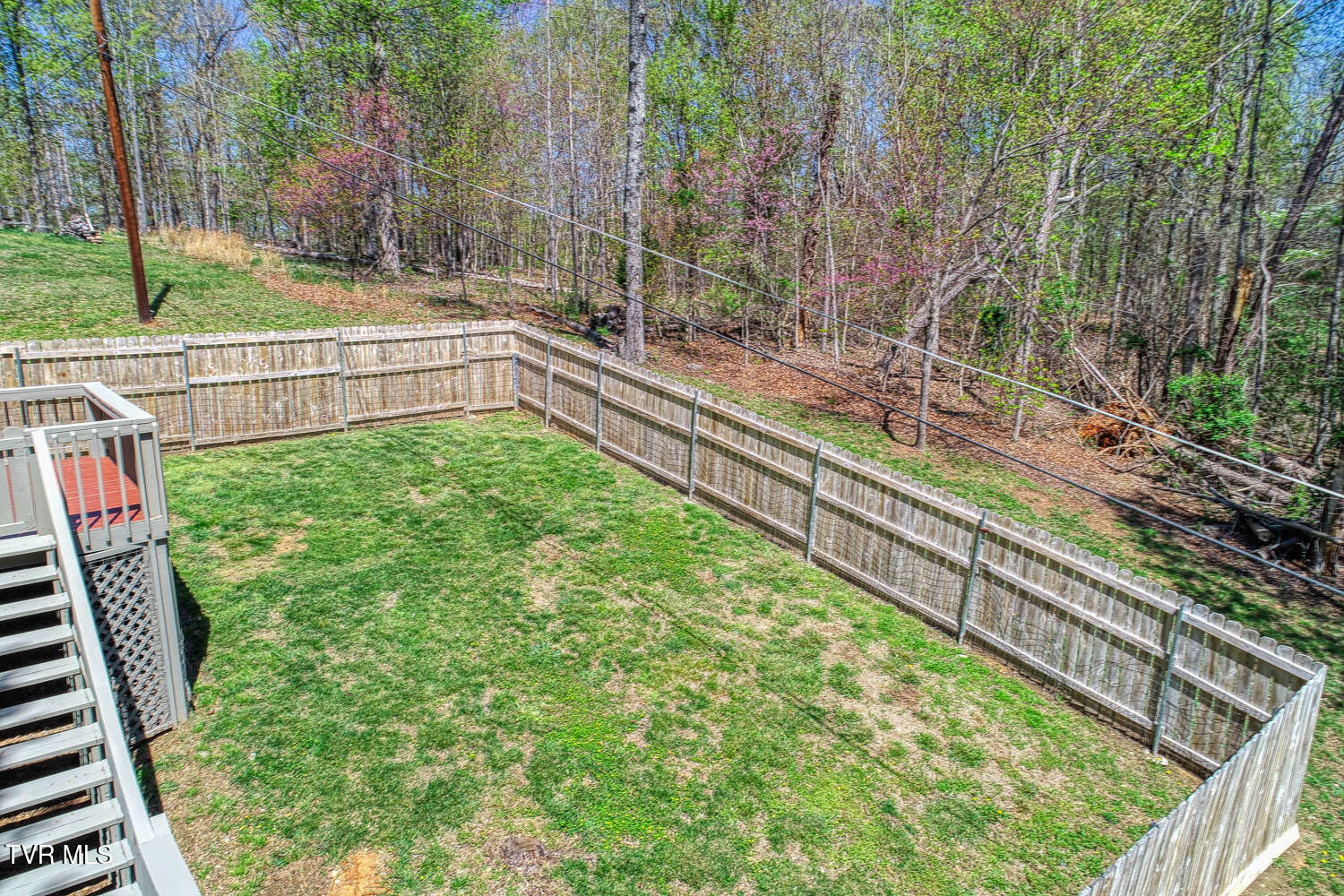 804 Seven Oaks Drive, Mount Carmel, Tennessee image 16