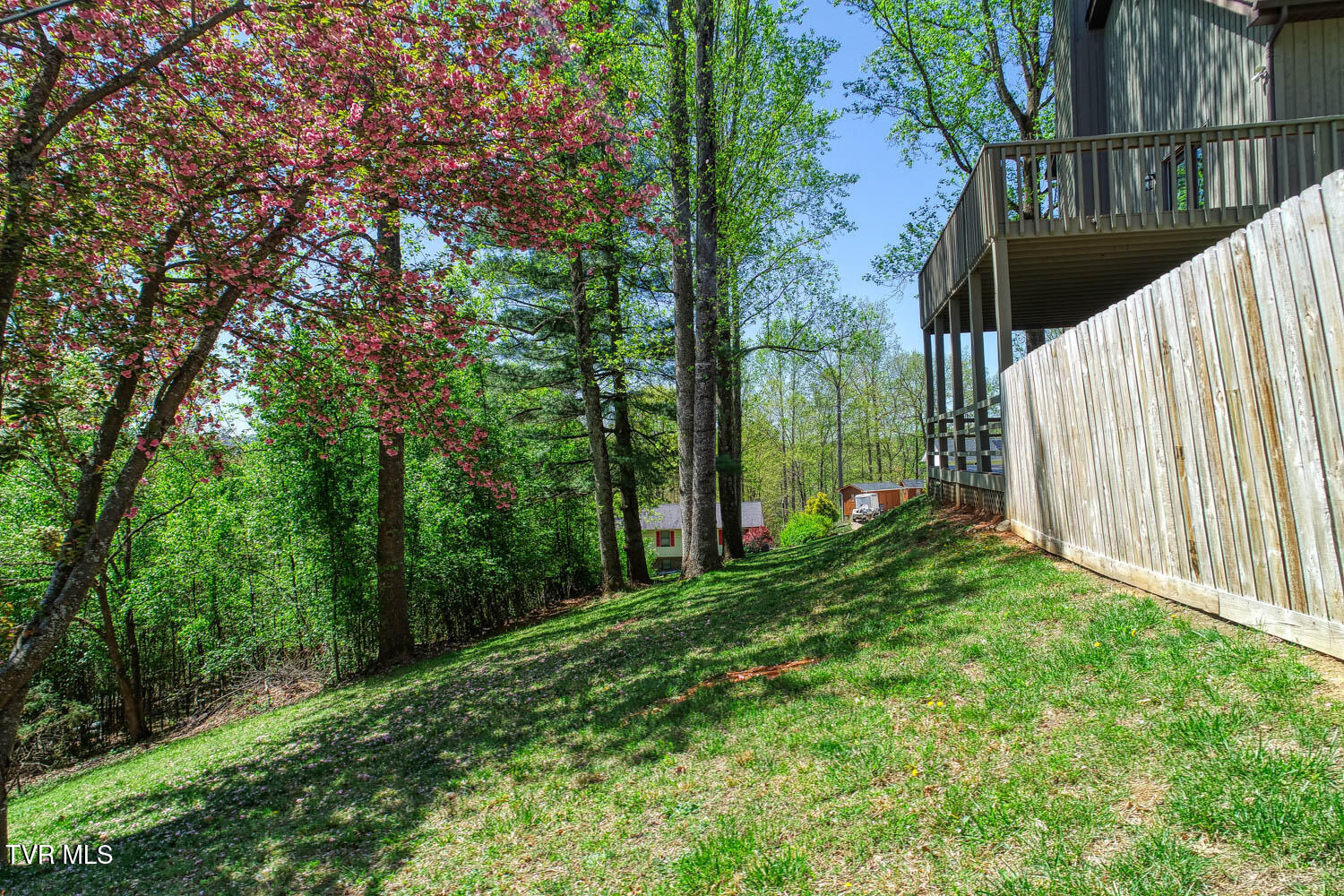 804 Seven Oaks Drive, Mount Carmel, Tennessee image 12