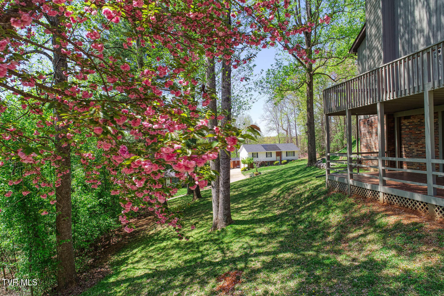 804 Seven Oaks Drive, Mount Carmel, Tennessee image 13
