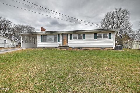 Photo of 258 Blackburn Circle, Bristol, TN 37620 (MLS # 9989861)