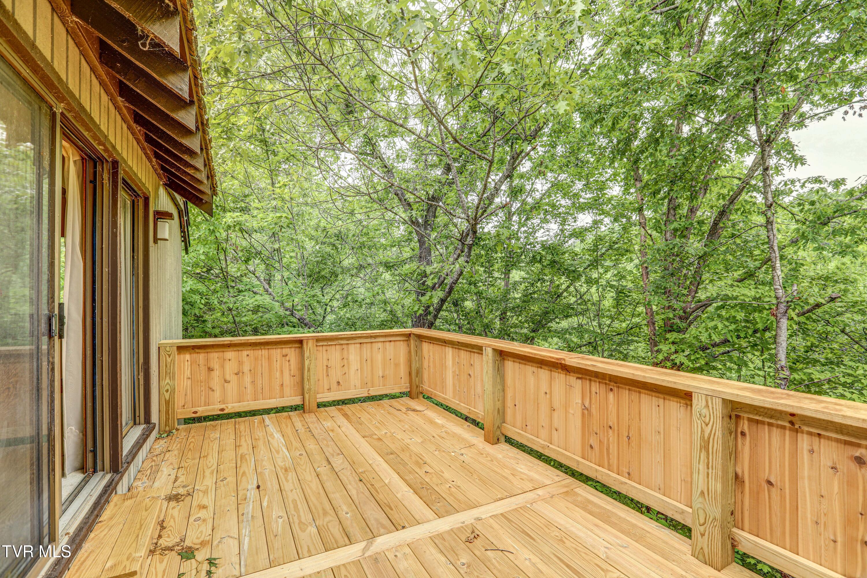 153 Columbine Road, Kingsport, Tennessee image 41