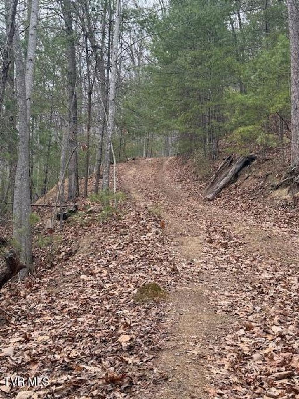 Photo of Tbd Ray Kegley Road, Erwin, TN 37650 (MLS # 9989716)