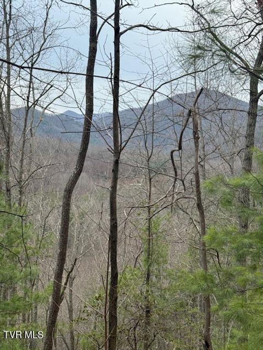 Photo of Tbd Ray Kegley Road, Erwin, TN 37650 (MLS # 9989716)
