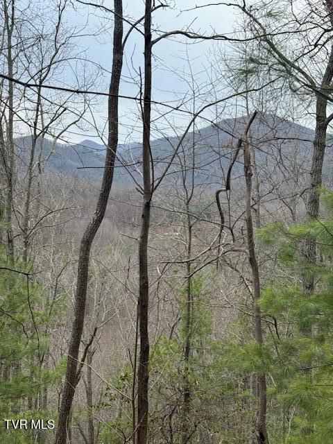 Vacant Land For Sale - TBD Ray Kegley Road<br/> Unicoi County, Erwin, TN 37650