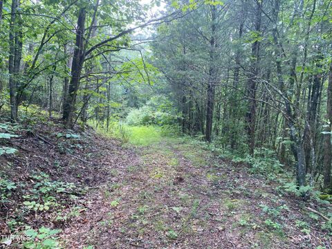 Vacant Land For Sale - Sinks (103 Acres) Road<br/> Blackwater, VA 24221