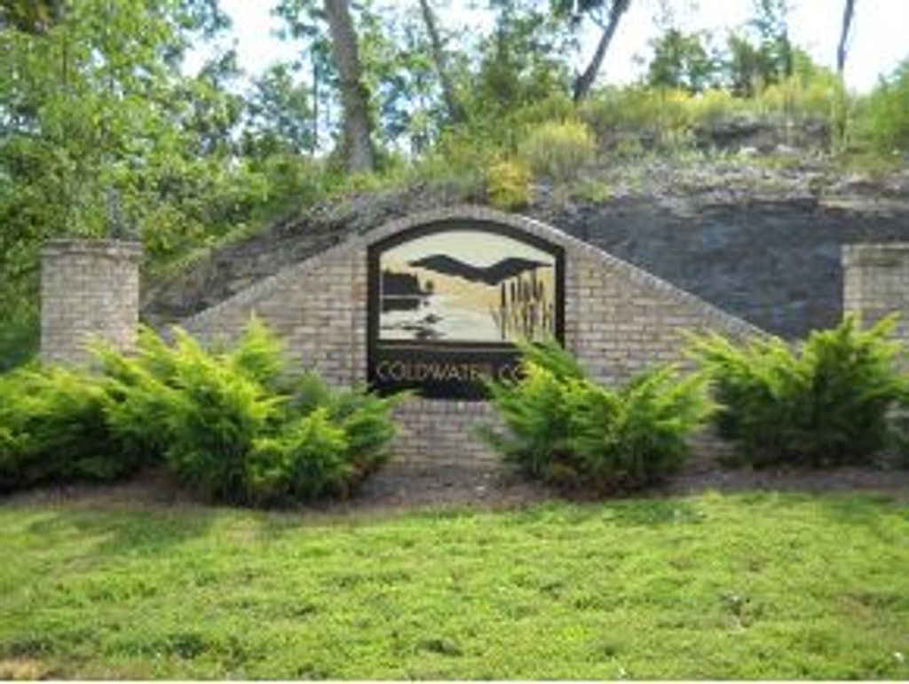 Photo of 341 Coldwater Drive #0, Johnson City, TN 37601 (MLS # 9995108)