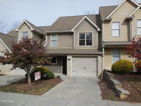 Photo of 341 Coldwater Drive #0, Johnson City, TN 37601 (MLS # 9995108)