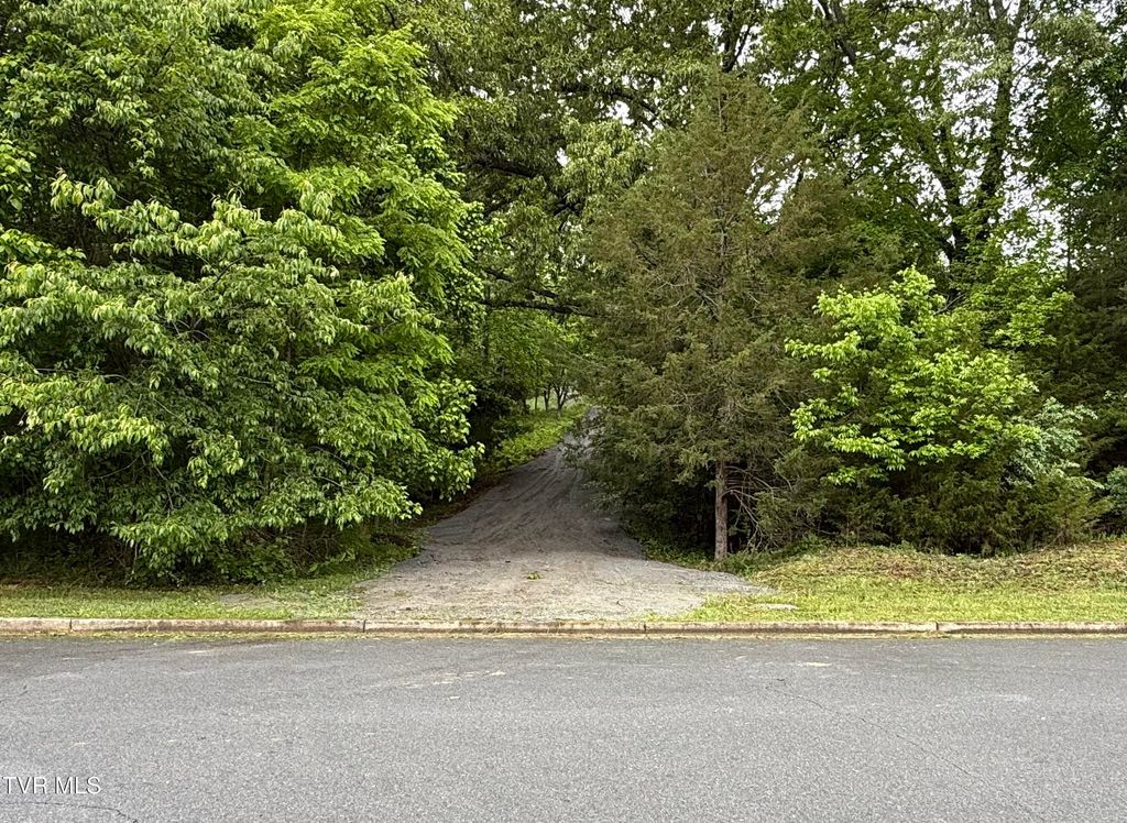 Photo of 626 Harbor Point Drive, Johnson City, TN 37615 (MLS # 9995038)