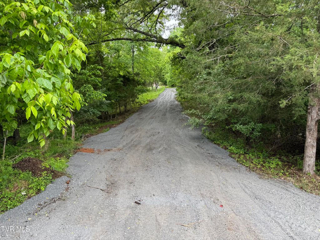 Photo of 626 Harbor Point Drive, Johnson City, TN 37615 (MLS # 9995038)