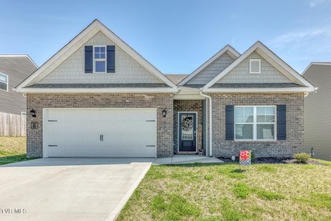Photo of 1028 Tara Court, Blountville, TN 37617 (MLS # 9992859)