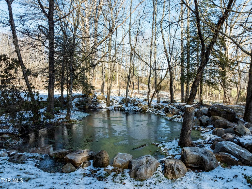 Photo of 124 Dugger Branch Road, Elizabethton, TN 37643 (MLS # 9989365)