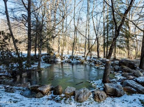 Vacant Land For Sale - 124 Dugger Branch Road<br/> Elizabethton, TN 37643
