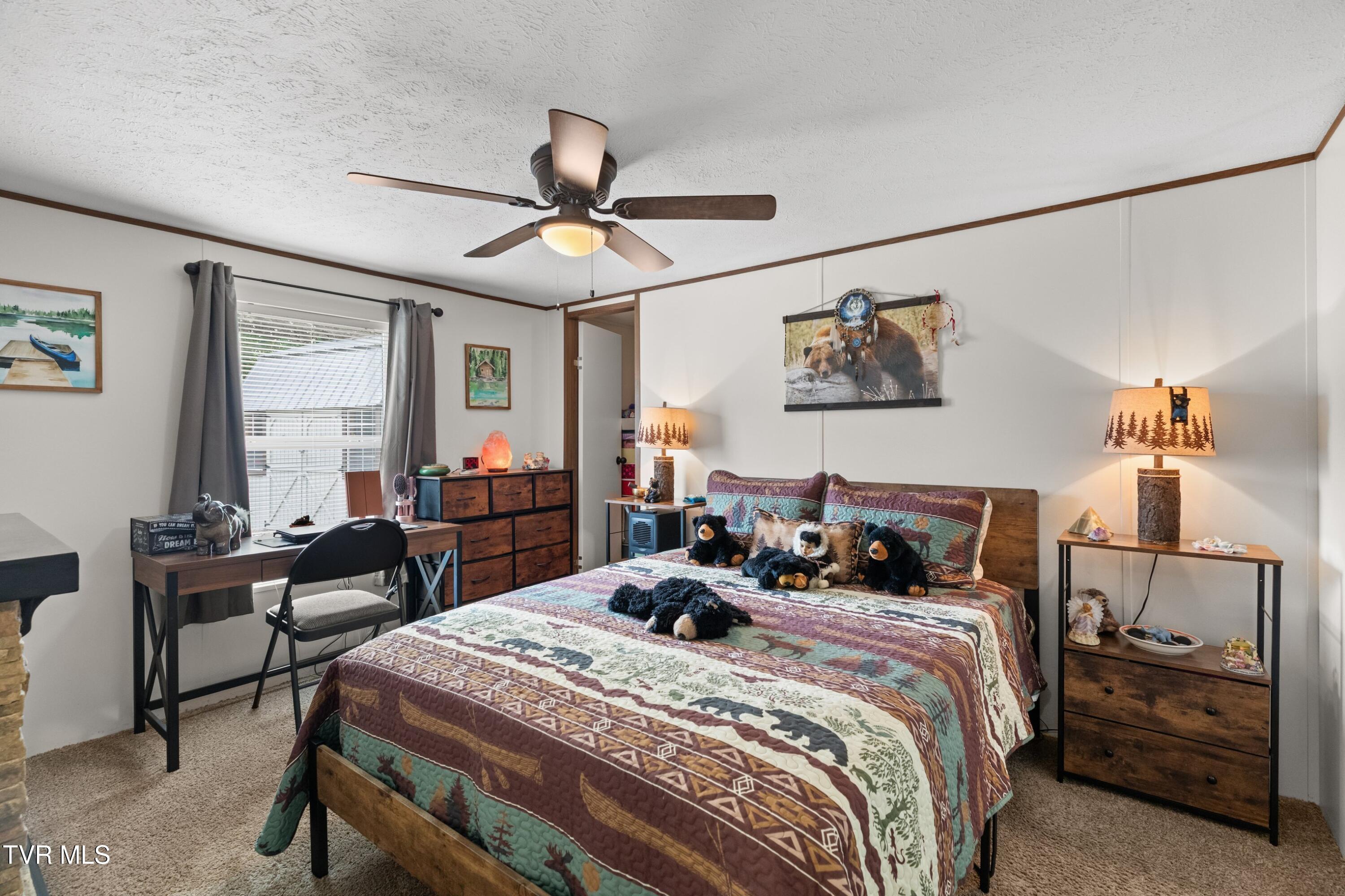 154 New Salem Drive, Limestone, Tennessee image 17