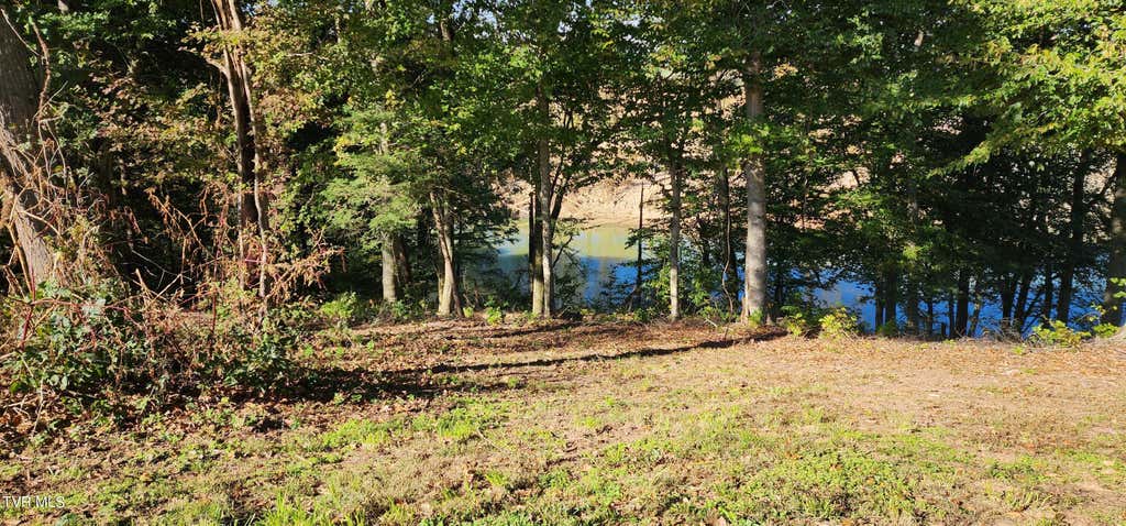 Photo of 193 Barwick Road, Limestone, TN 37681 (MLS # 9998856)
