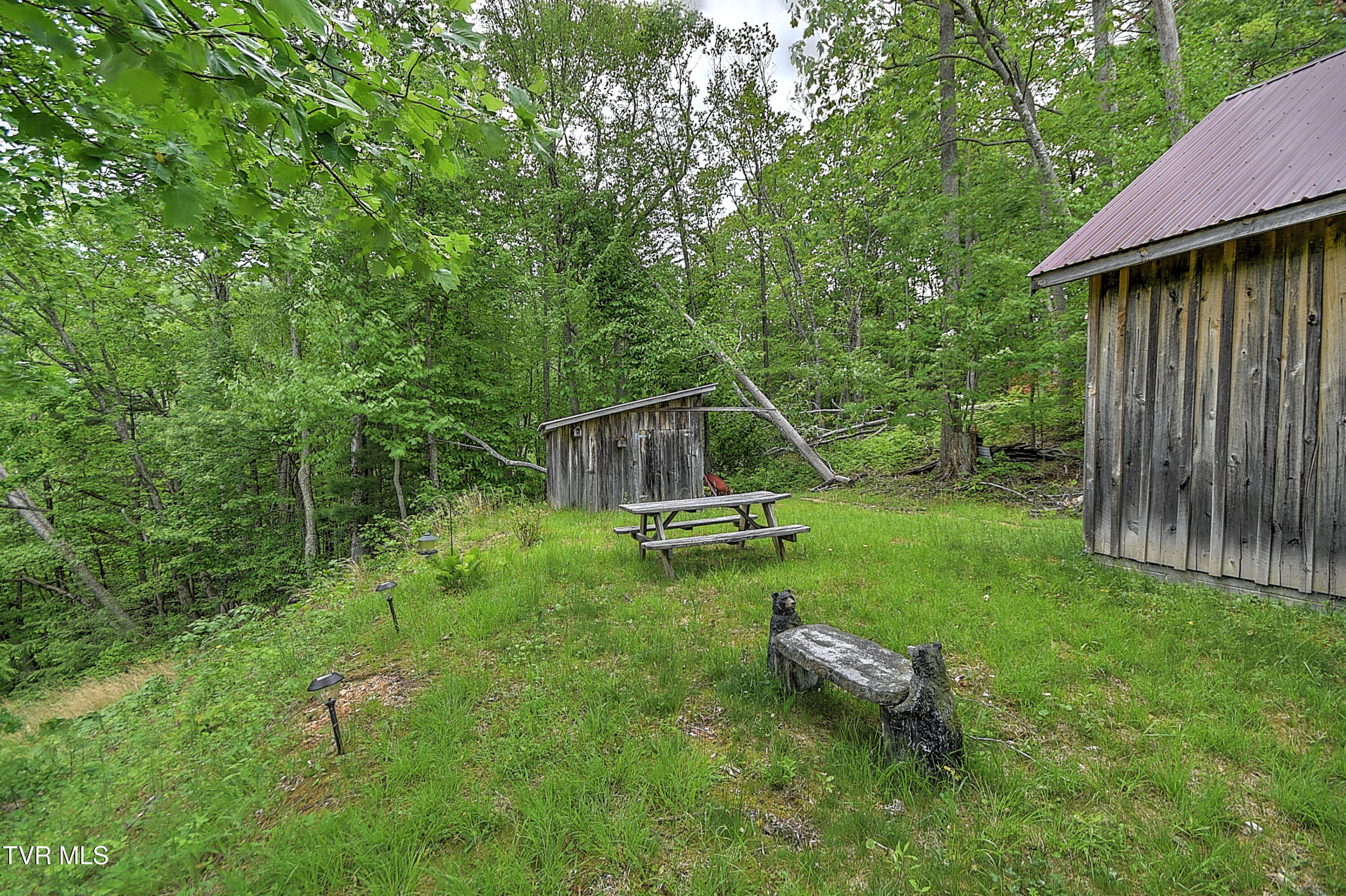 1929/1993 Bulldog Road, Trade, Tennessee image 33