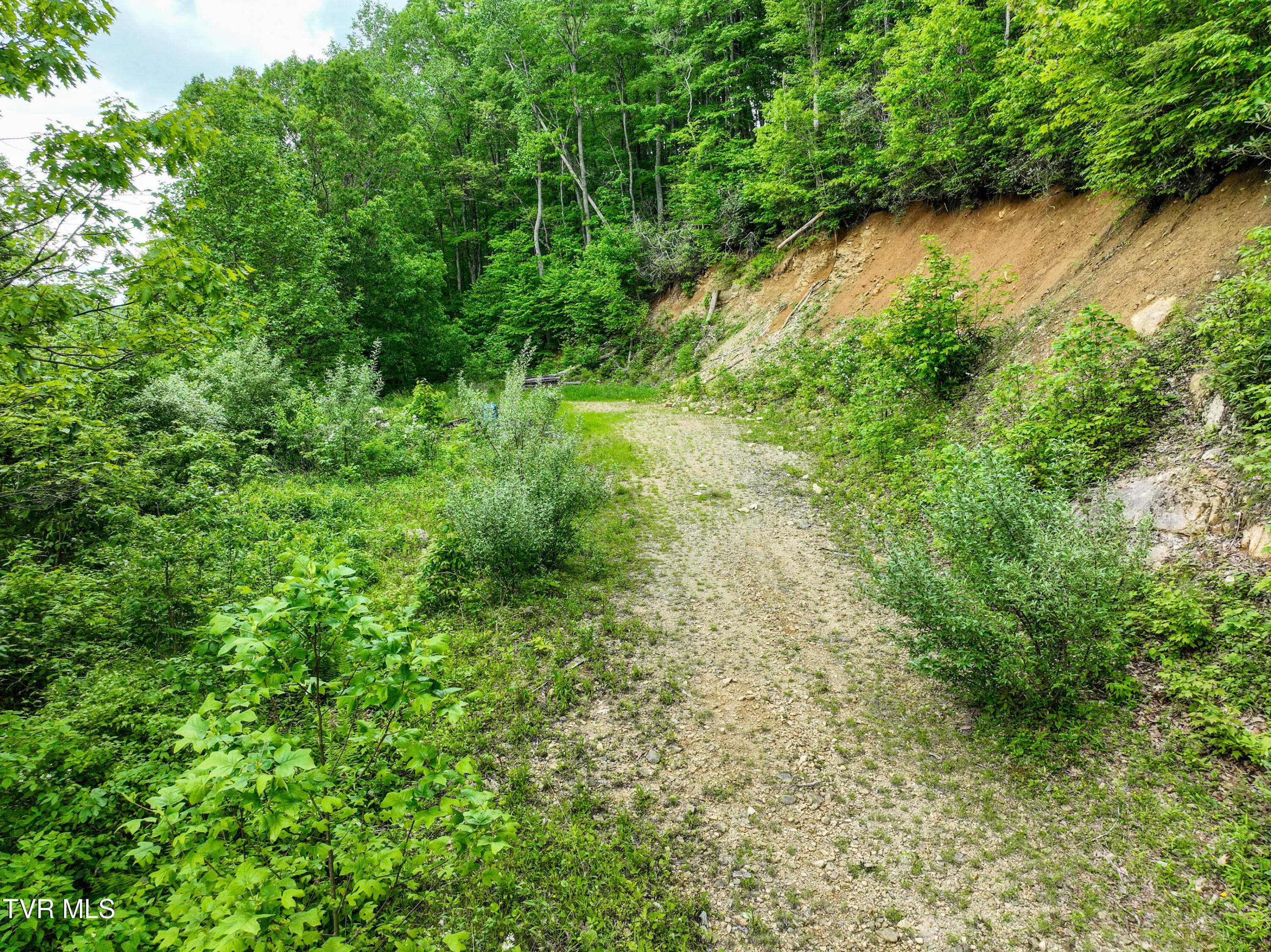 1929/1993 Bulldog Road, Trade, Tennessee image 18