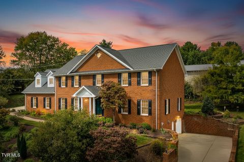 Photo of 168 Laurel Ridge Drive, Jonesborough, TN 37659 (MLS # 9986483)