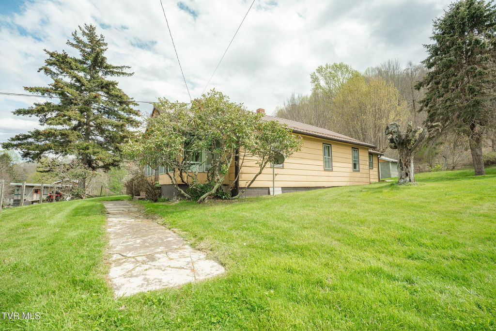 Photo of 427 Cove Creek Road, Roan Mountain, TN 37687 (MLS # 9993900)