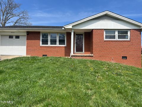 Homes For Sale - 936 Delrose Drive<br/> Kingsport, TN 37660