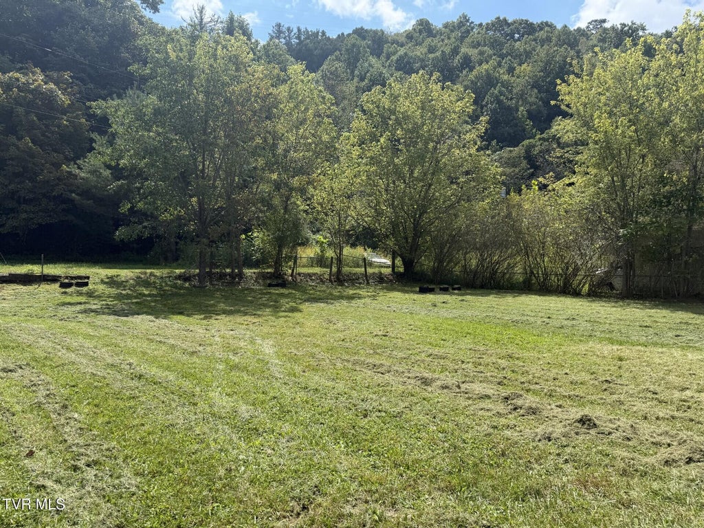 Photo of Tbd Stonega Road, Appalachia, VA 24216 (MLS # 10000641)