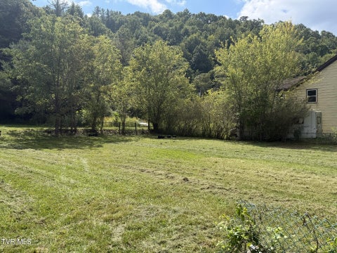 Vacant Land For Sale - TBD Stonega Road<br/> Appalachia, VA 24216
