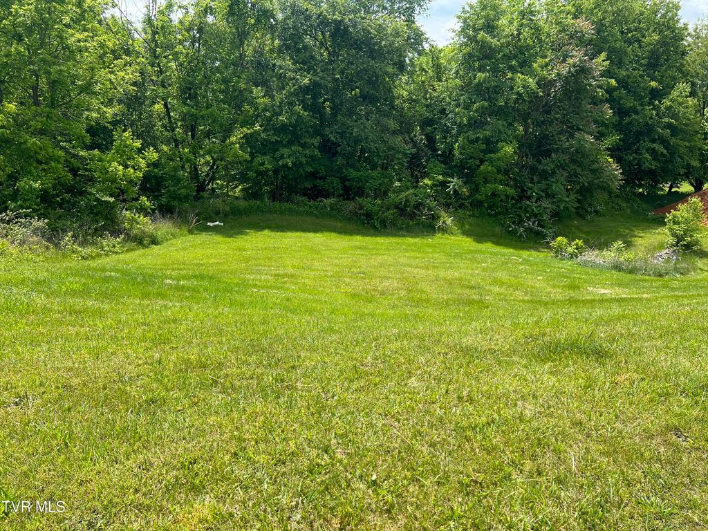 Photo of 154 Laurel Canyon, Johnson City, TN 37615 (MLS # 9995025)