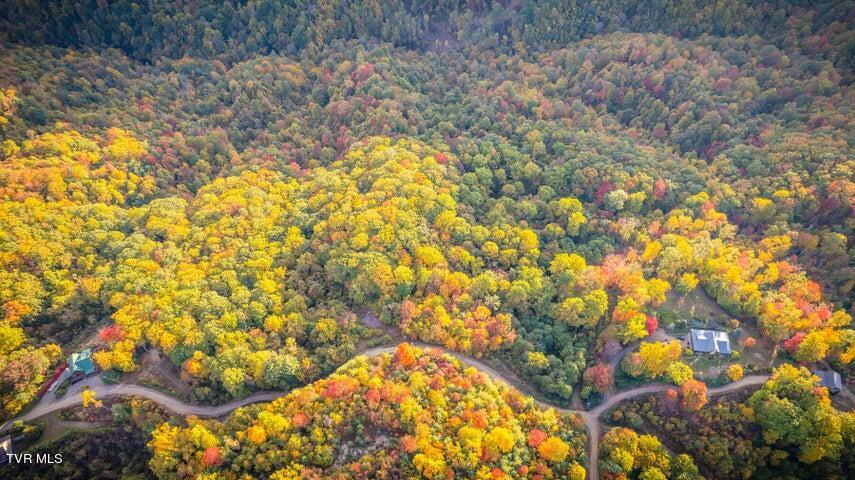 Tr 16 Mays Ridge/off Heaton Branch Road, Butler, Tennessee image 1