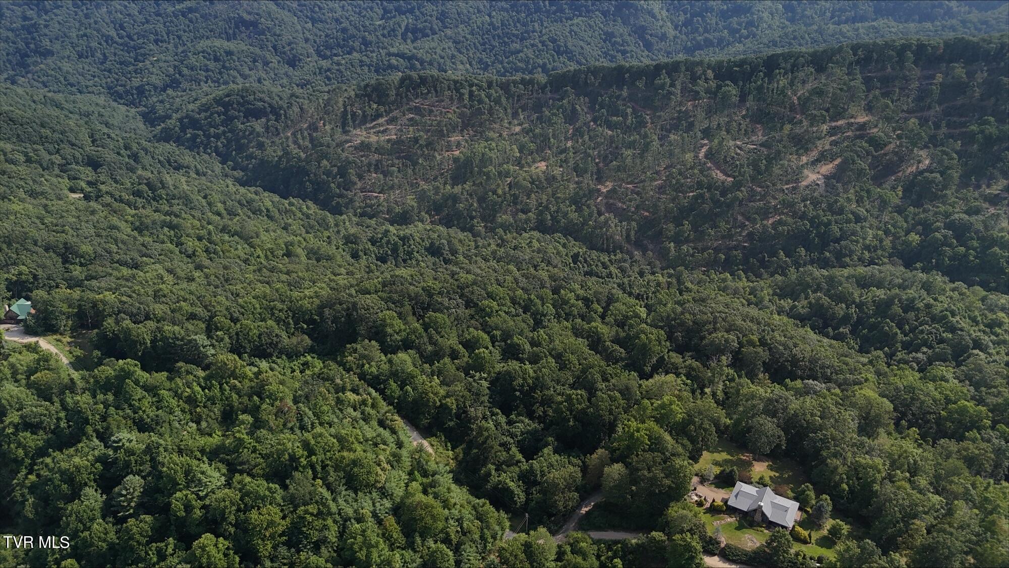 Tr 16 Mays Ridge/off Heaton Branch Road, Butler, Tennessee image 15