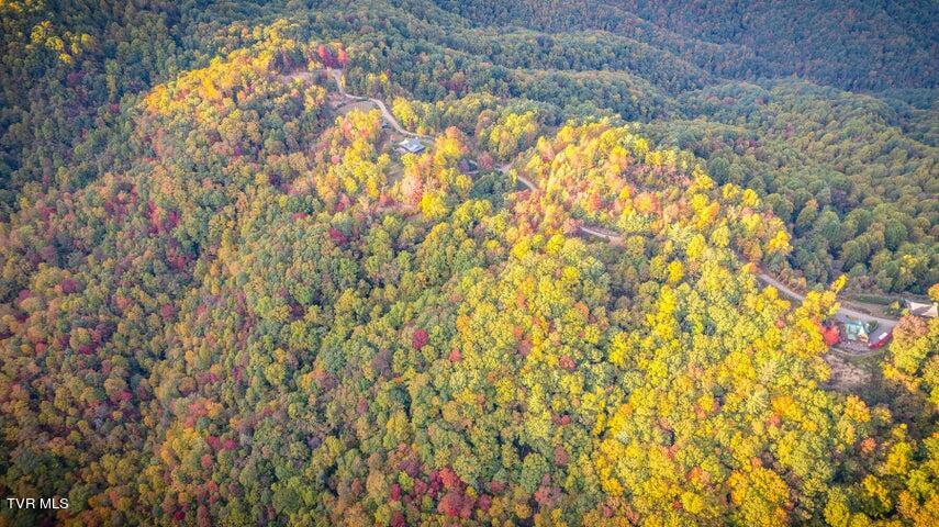 Tr 16 Mays Ridge/off Heaton Branch Road, Butler, Tennessee image 5
