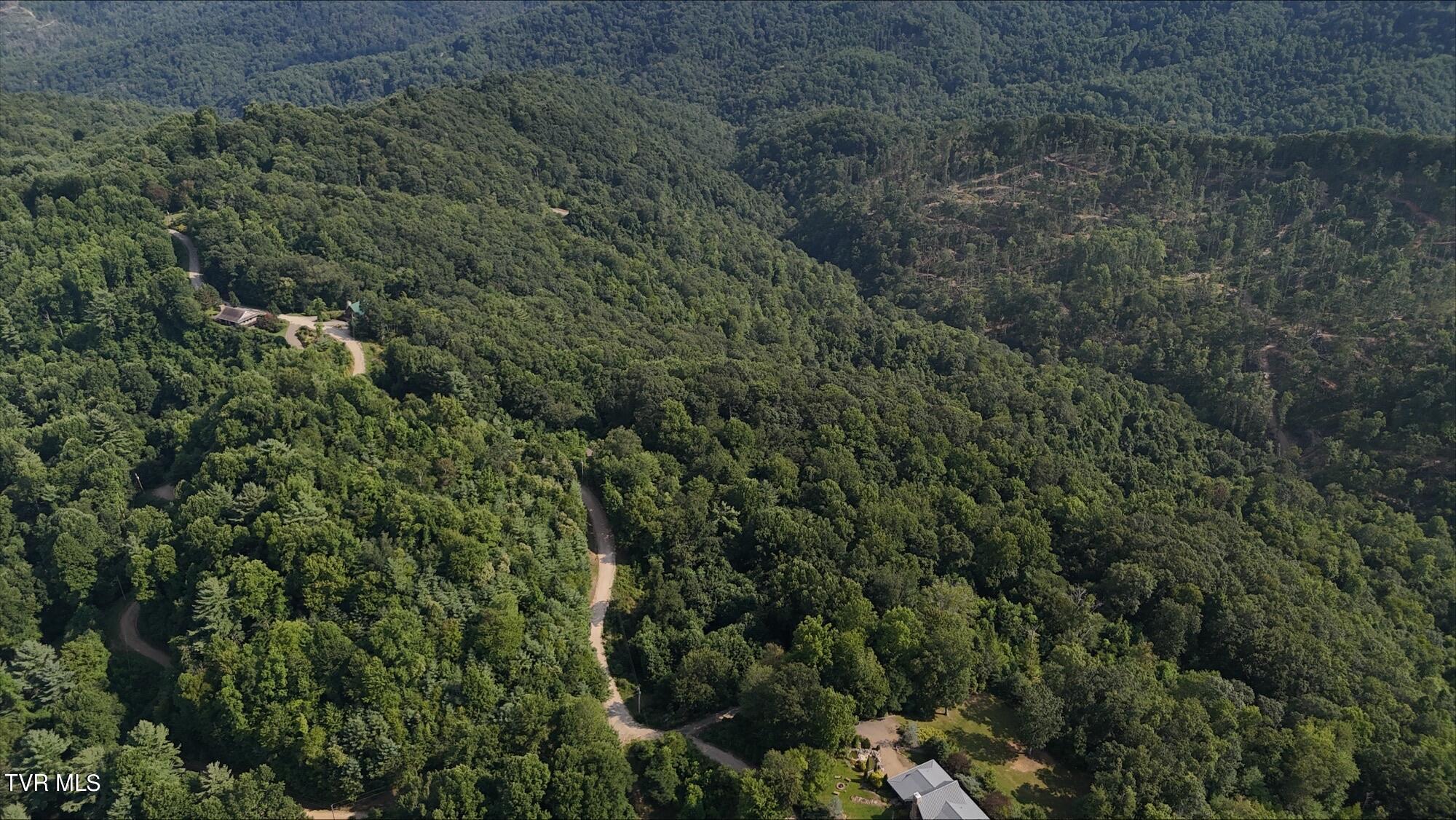Tr 16 Mays Ridge/off Heaton Branch Road, Butler, Tennessee image 12
