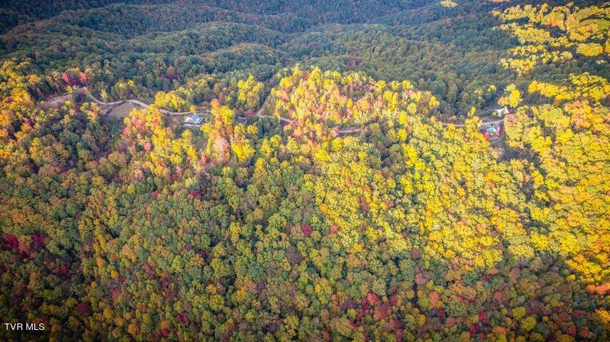 Tr 16 Mays Ridge/off Heaton Branch Road, Butler, Tennessee image 6