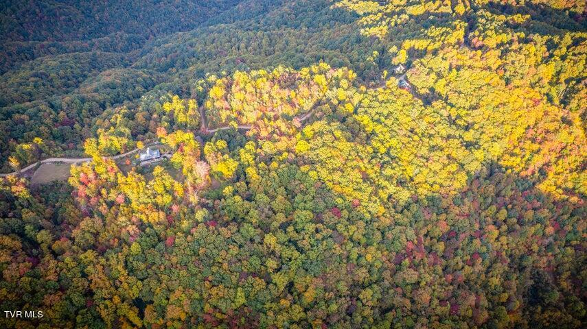 Tr 16 Mays Ridge/off Heaton Branch Road, Butler, Tennessee image 4
