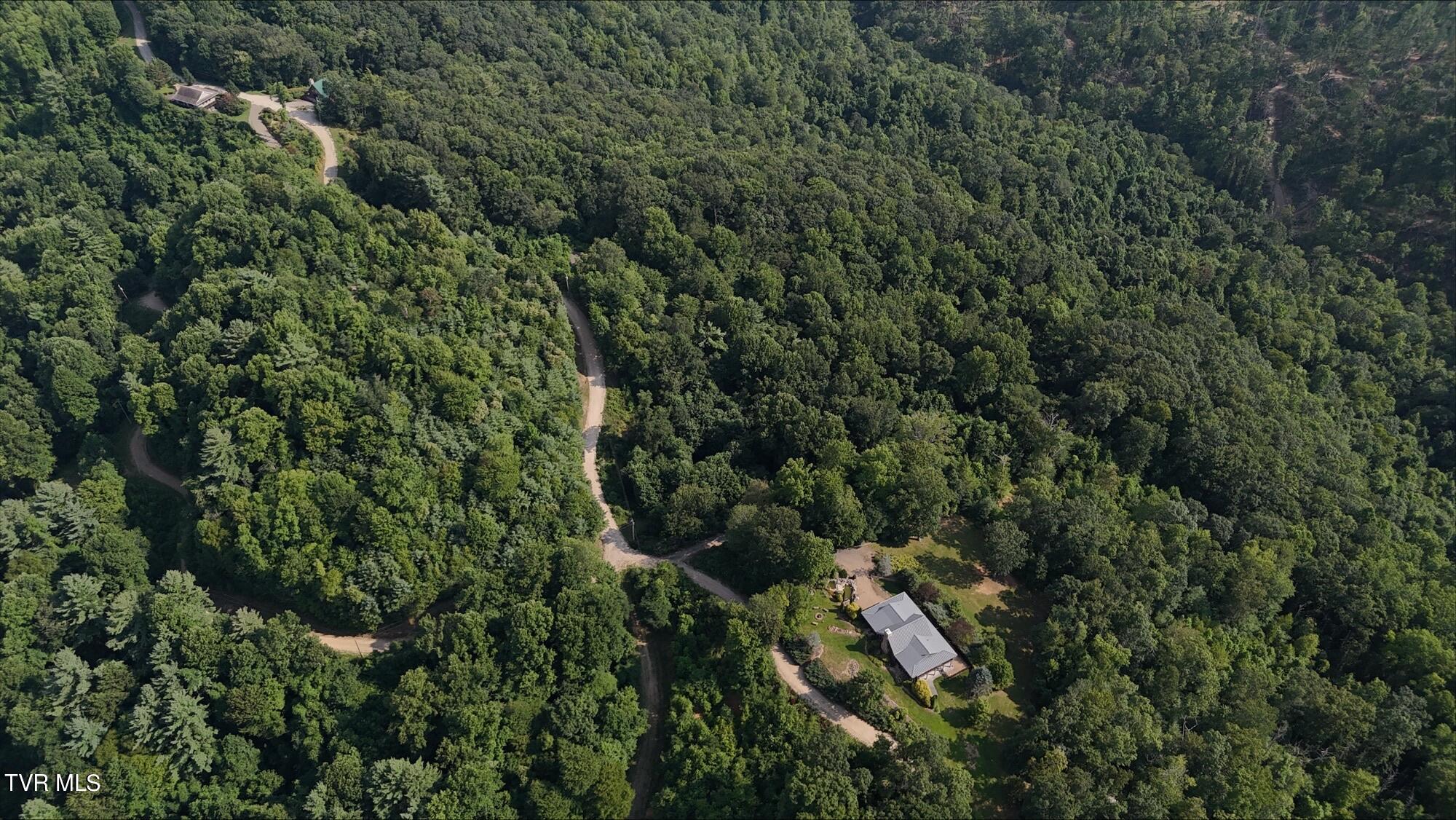 Tr 16 Mays Ridge/off Heaton Branch Road, Butler, Tennessee image 17