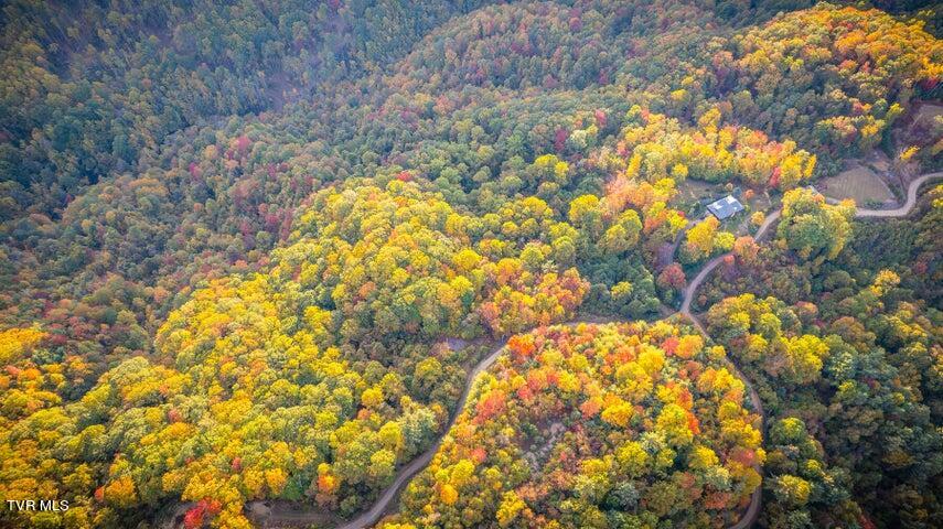 Tr 16 Mays Ridge/off Heaton Branch Road, Butler, Tennessee image 2