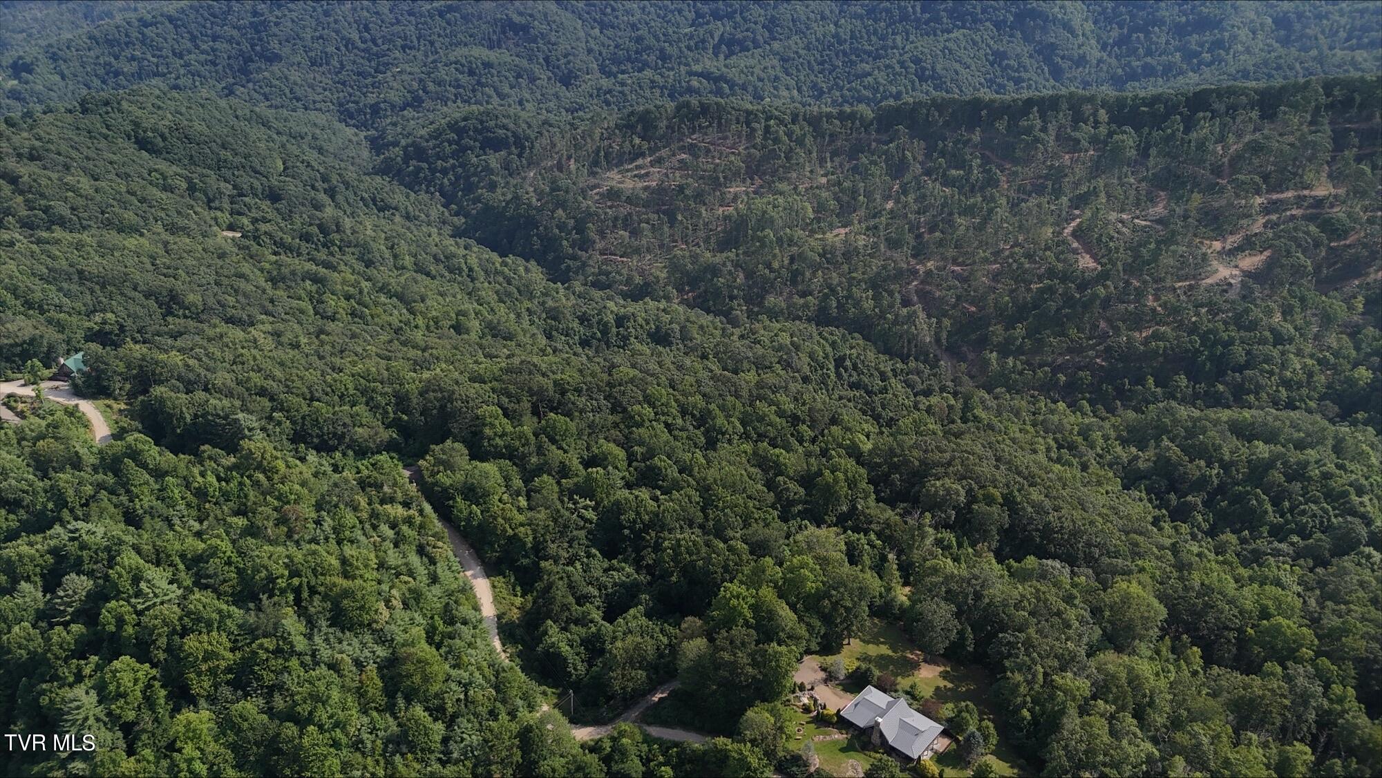 Tr 16 Mays Ridge/off Heaton Branch Road, Butler, Tennessee image 14