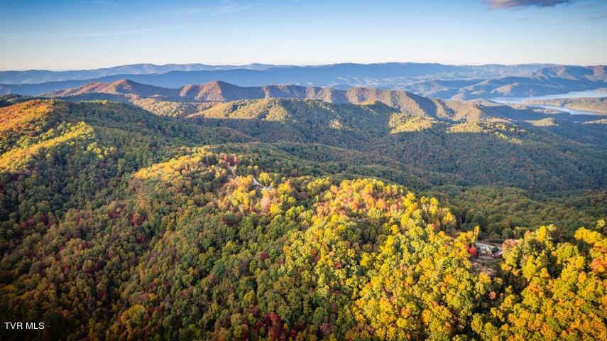Tr 16 Mays Ridge/off Heaton Branch Road, Butler, Tennessee image 7