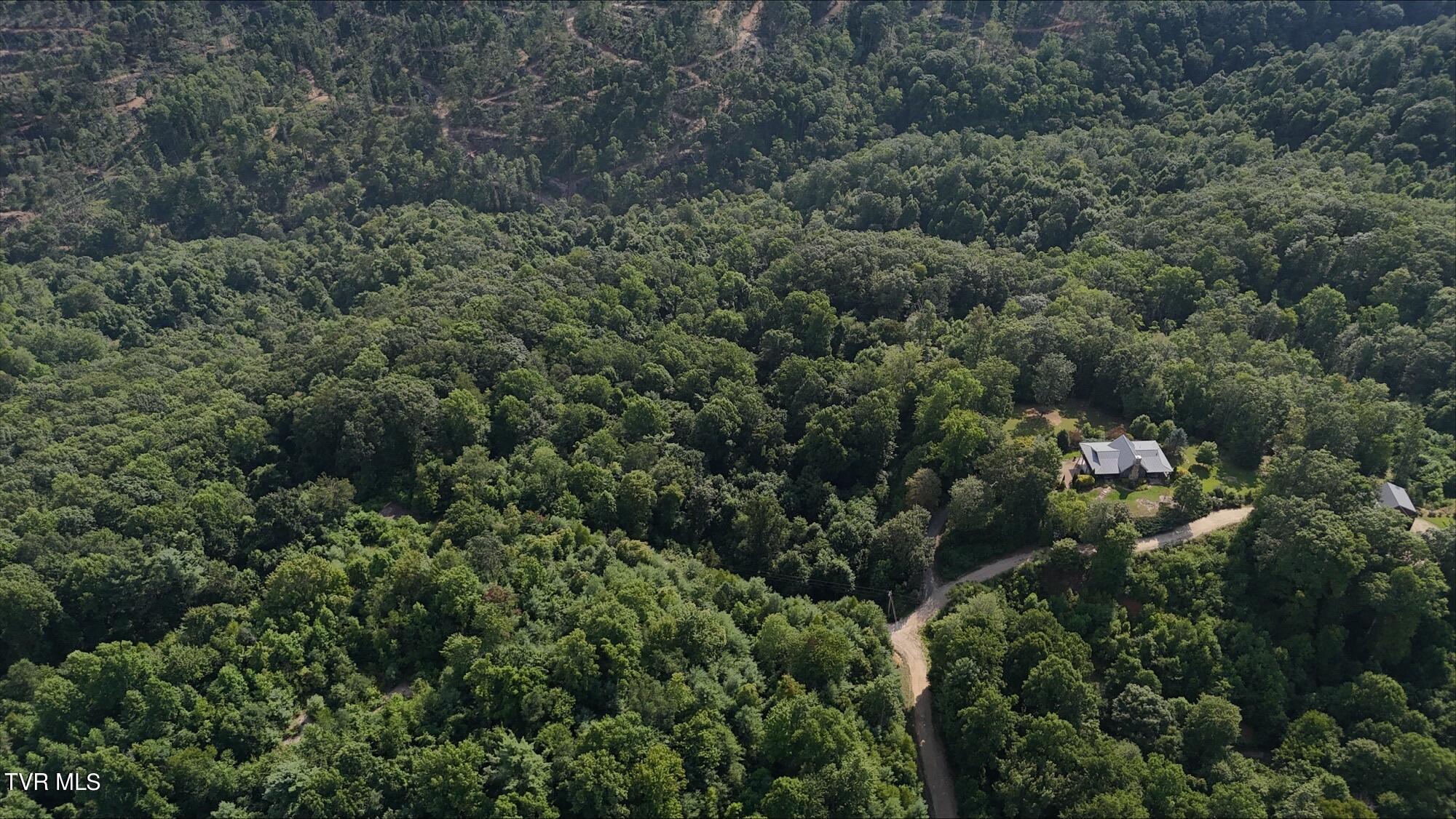 Tr 16 Mays Ridge/off Heaton Branch Road, Butler, Tennessee image 13