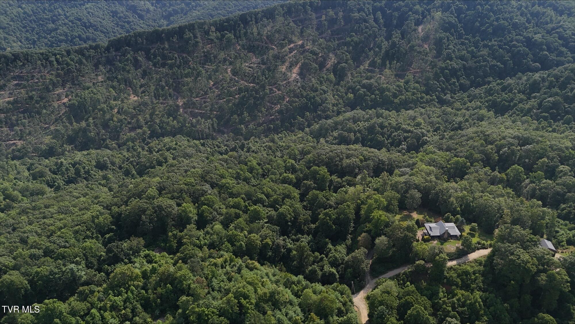 Tr 16 Mays Ridge/off Heaton Branch Road, Butler, Tennessee image 20