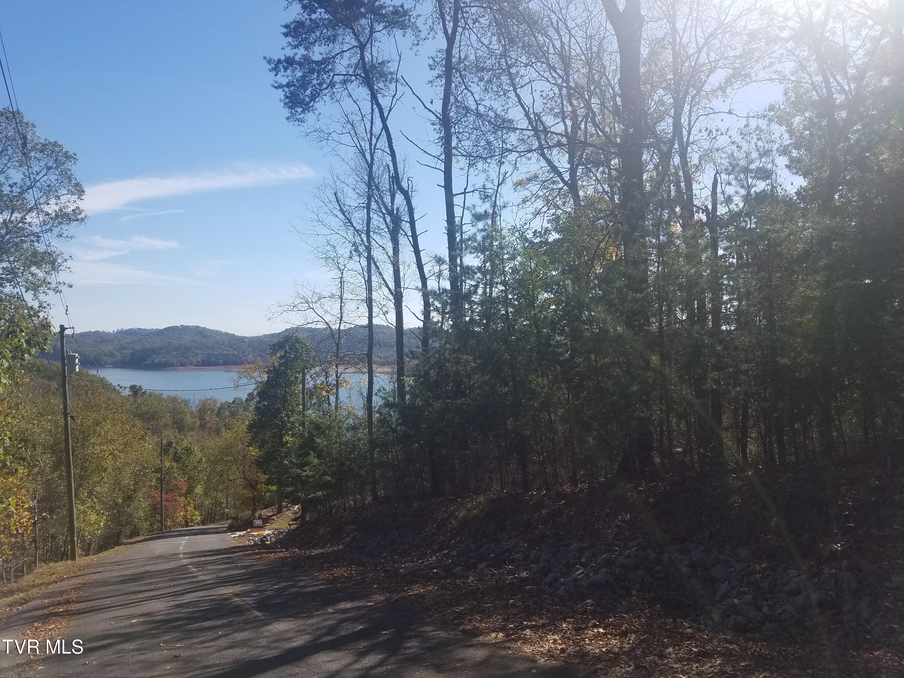 607 Lakeview Drive, Mooresburg, Tennessee image 11