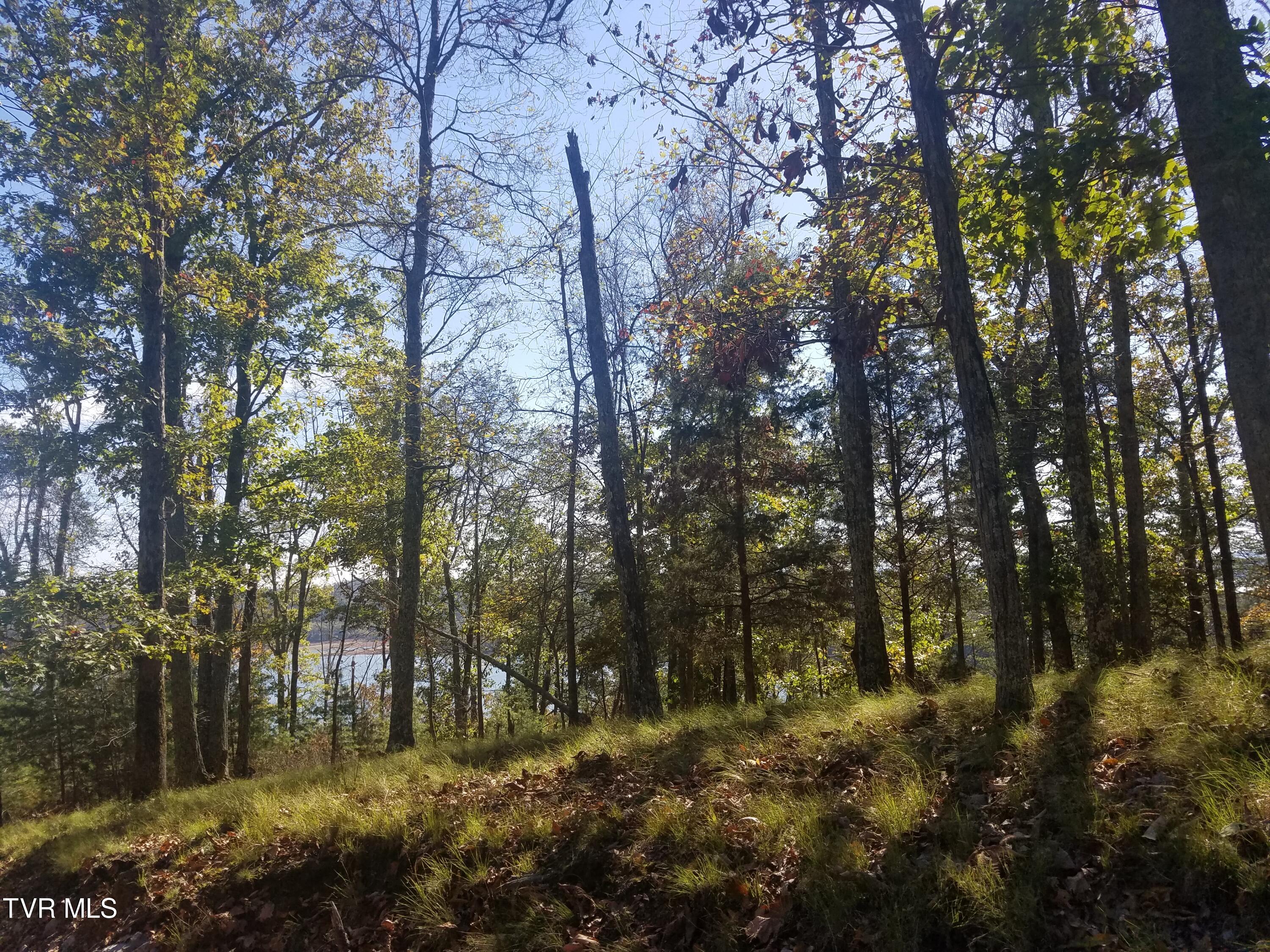 607 Lakeview Drive, Mooresburg, Tennessee image 7