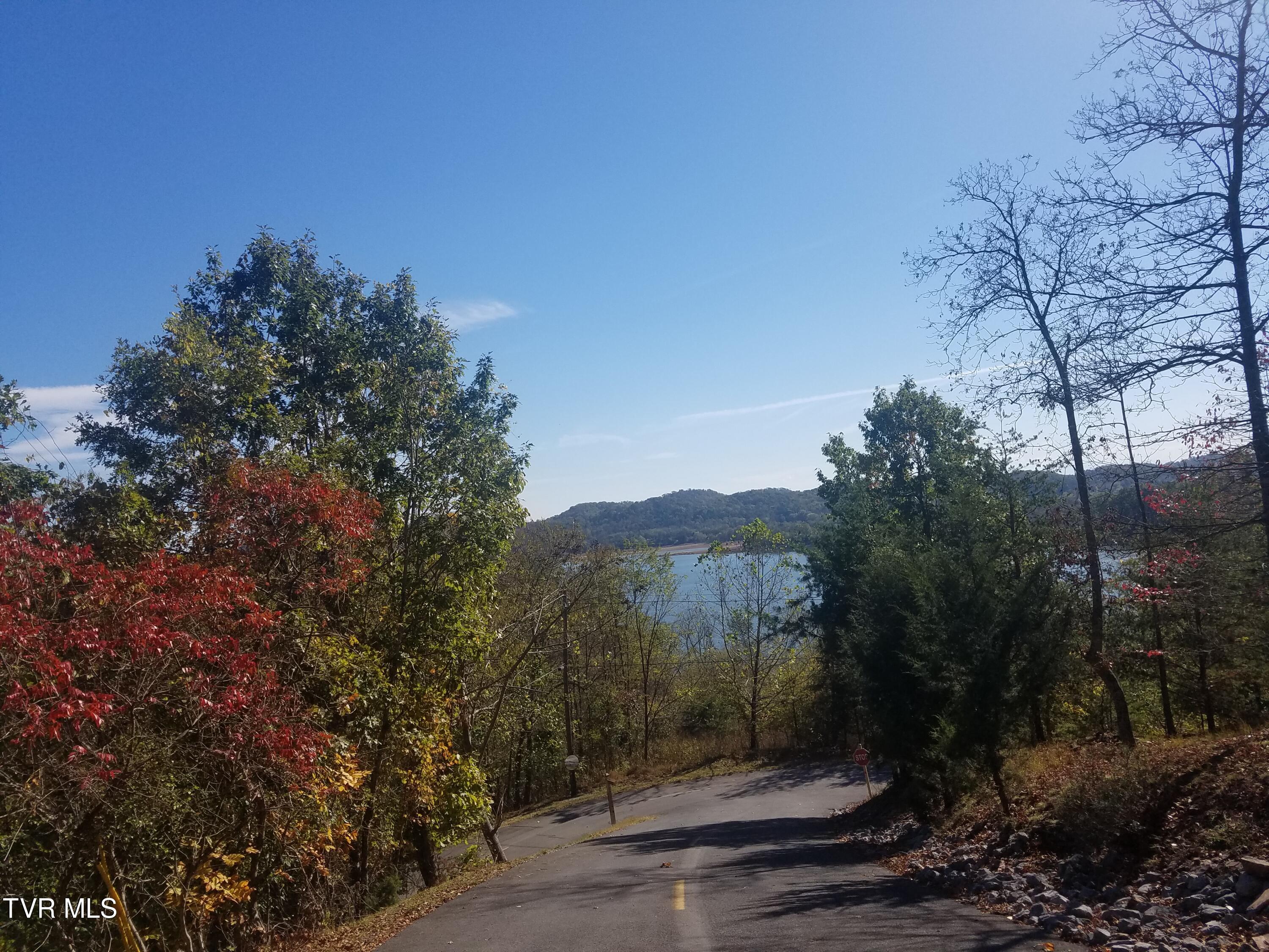 607 Lakeview Drive, Mooresburg, Tennessee image 12
