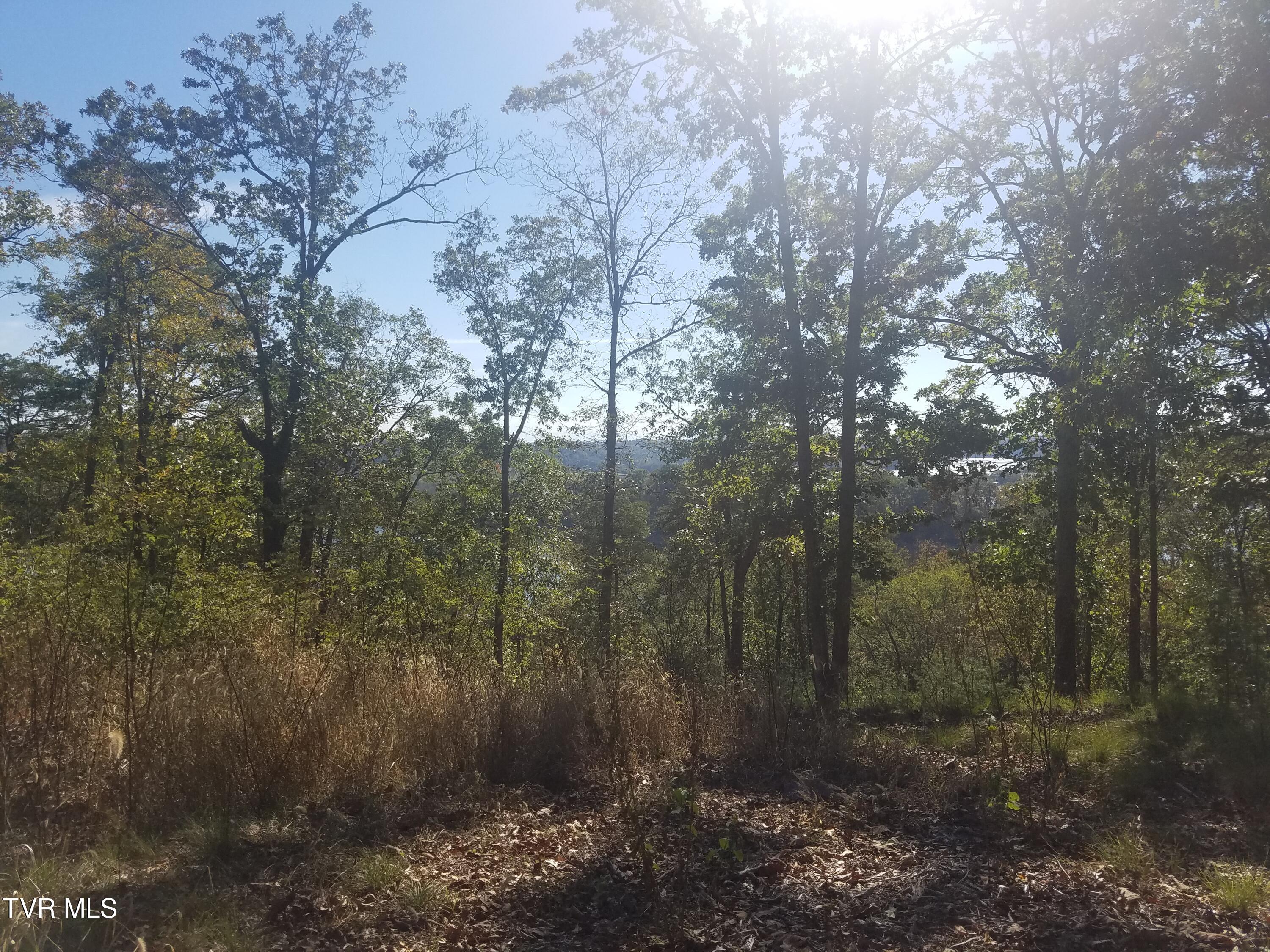 607 Lakeview Drive, Mooresburg, Tennessee image 5