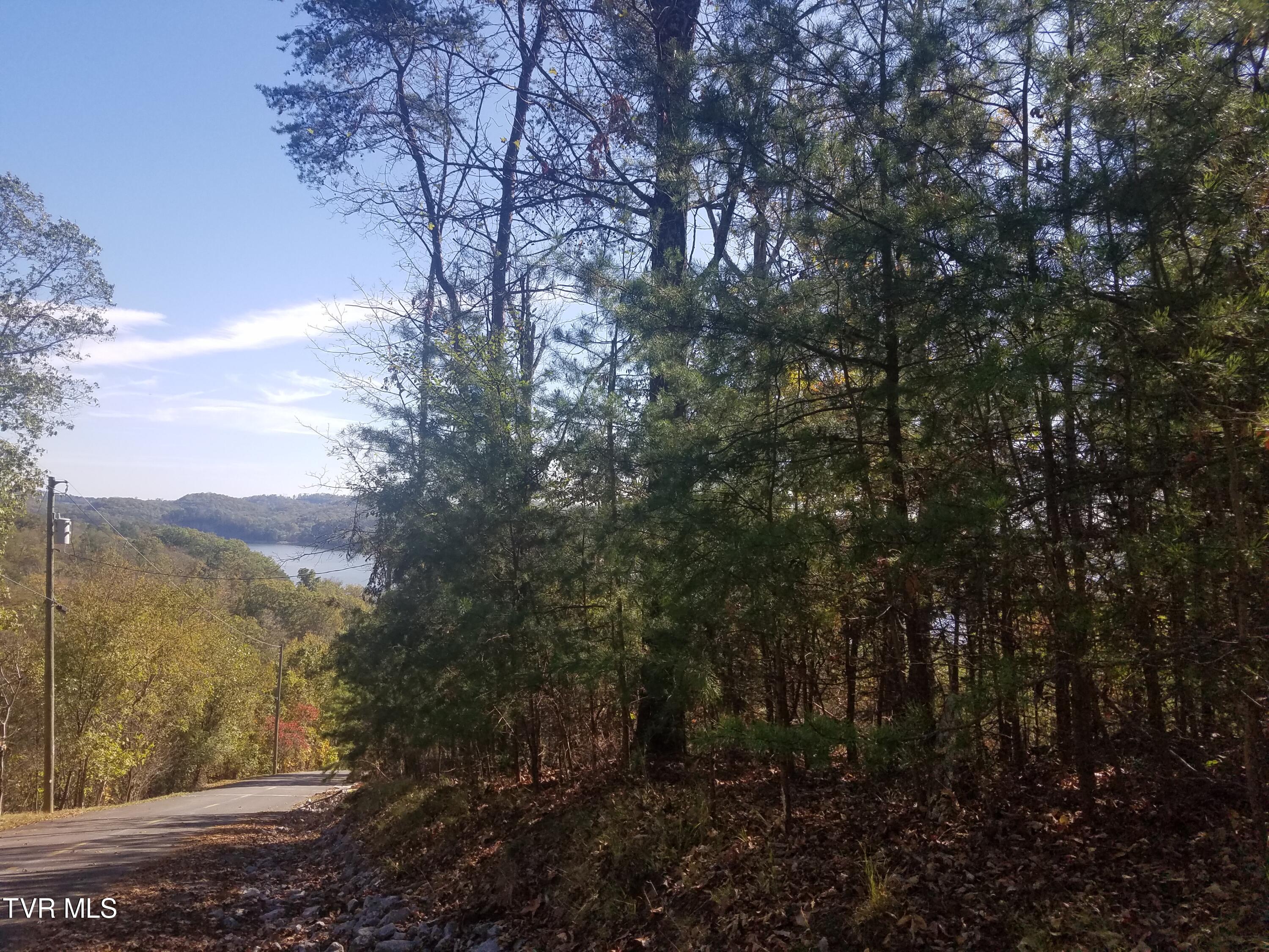 607 Lakeview Drive, Mooresburg, Tennessee image 10