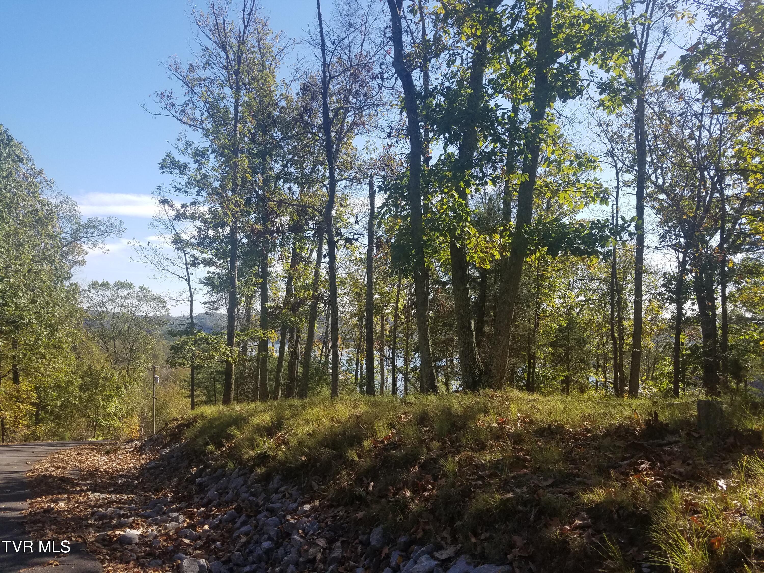 607 Lakeview Drive, Mooresburg, Tennessee image 14